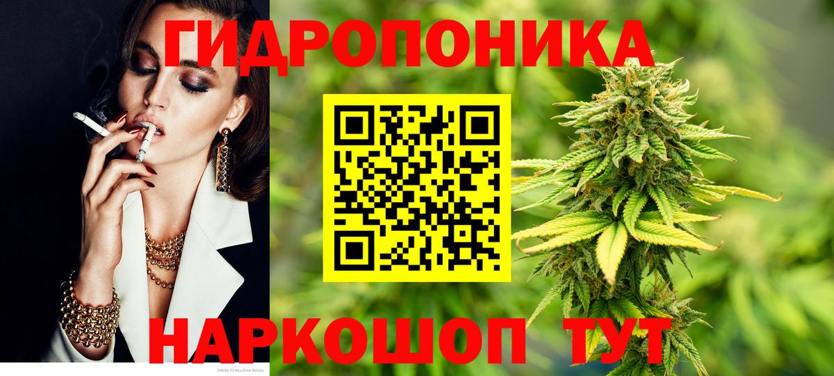 Бошки Шишки ГИДРОПОН Пенза